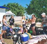 Shark Bay Cottages - Tourism Gold Coast