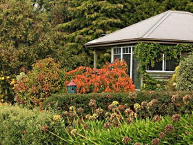 Beauty Point Cottages - Tourism Gold Coast 3