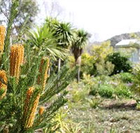 Yooringa Garden Cottage - Tourism Gold Coast