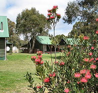 Derwent Bridge Chalets  Studios - Tourism Gold Coast