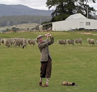 Park House Accommodation