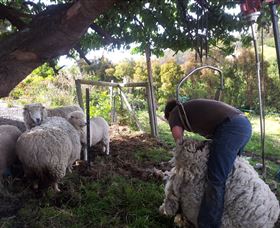 Huon Valley Backpackers - Tourism Gold Coast 7