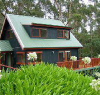 Tree Tops Cascades - Tourism Gold Coast