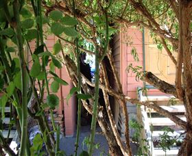 Memory Lane Cottages - Tourism Gold Coast 2