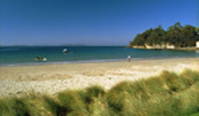 Recreation Cottage - Tourism Gold Coast 0