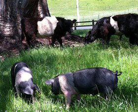 Hurlfield Farm Cottage - Tourism Gold Coast 2