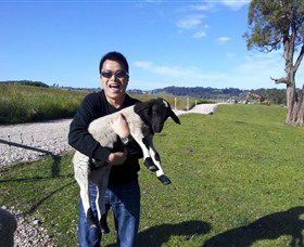 Sheffield TAS Tourism Gold Coast