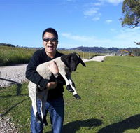 Hurlfield Farm Cottage - Tourism Gold Coast
