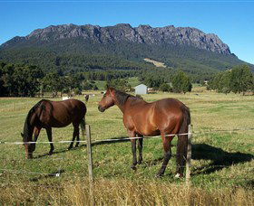 Hurlfield Farm Cottage - Tourism Gold Coast 4