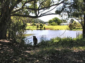 Newry Park Cottage - Tourism Gold Coast 0