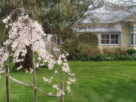 Barrington TAS Tourism Gold Coast