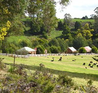 Tin Dragon Trail Cottages - Tourism Gold Coast