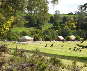 Tin Dragon Trail Cottages - Tourism Gold Coast 0