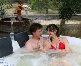 Tin Dragon Trail Cottages - Tourism Gold Coast 2
