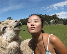 Tin Dragon Trail Cottages - Tourism Gold Coast 4