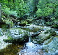 Tarkine Wilderness Experience at Corinna - Tourism Gold Coast