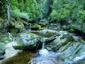 Tarkine Wilderness Experience At Corinna - Tourism Gold Coast 0