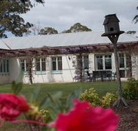 Kateland - Tourism Gold Coast
