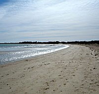 Greens Beach Caravan Park - Tourism Gold Coast
