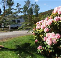 Zeehan Bush Camp  and Caravan Park - Tourism Gold Coast