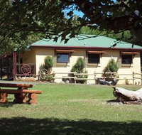 Springfield Deer Farm - Tourism Gold Coast