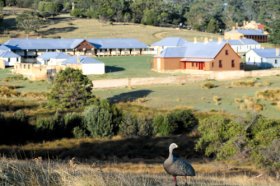 Maria Island TAS Tourism Gold Coast