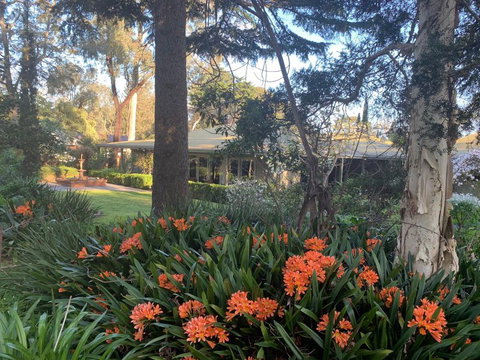 Treetops Bed And Breakfast - Tourism Gold Coast 6