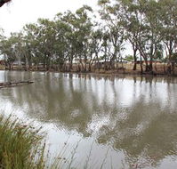 Riverbank Caravan Park - Tourism Gold Coast