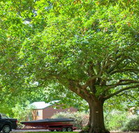 Lakes and Craters Holiday Park - Tourism Gold Coast