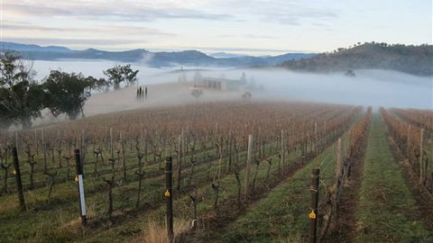 Valley View Caravan Park - Tourism Gold Coast 5