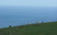 Clifton Beach Lodge - thumb 5