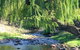 Elmstead Cottages - thumb 5