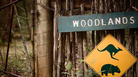 Woodlands Rainforest Retreat - Tourism Gold Coast 0
