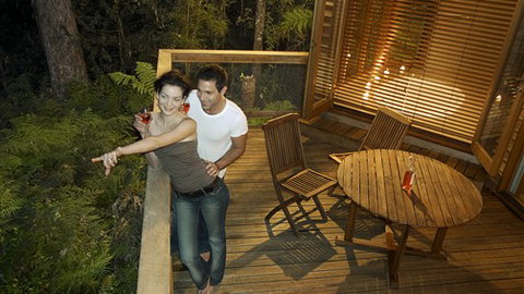 Woodlands Rainforest Retreat - Tourism Gold Coast 2