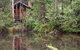 Woodlands Rainforest Retreat - thumb 4