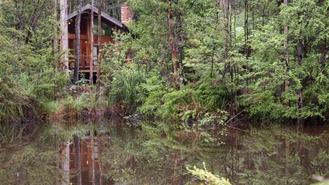 Woodlands Rainforest Retreat - Tourism Gold Coast 4