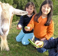 Johanna River Farm and Self Contained Cottages - Tourism Gold Coast