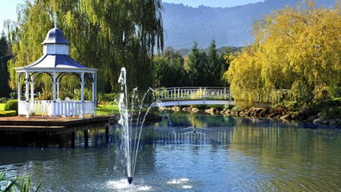 Lakeside Cottage - Tourism Gold Coast 5