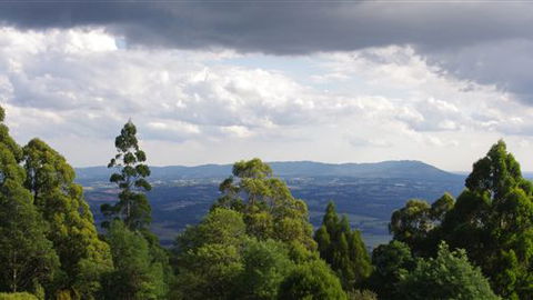 Lyrebird Cottages - Tourism Gold Coast 4