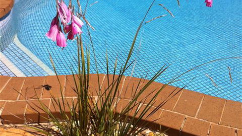 The Murray View Motel - Tourism Gold Coast 6
