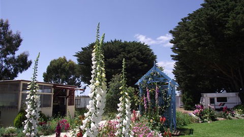 Colac Otway Caravan & Cabin Park - Tourism Gold Coast 1