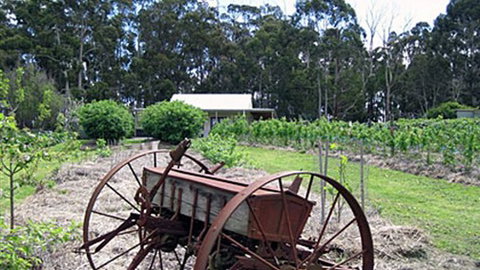 Pennyroyal Raspberry Farm & Cidery - Tourism Gold Coast 2