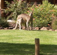 Southern Grampians Cottages - Tourism Gold Coast