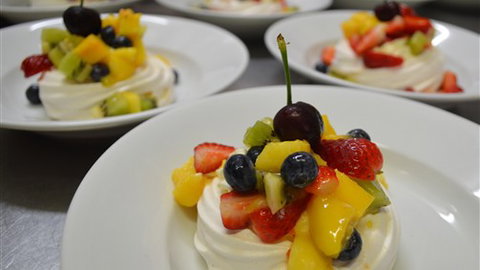 Diana Alpine Lodge - Tourism Gold Coast 3