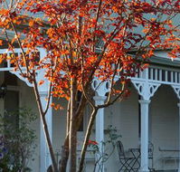 Yarra Gables Motel - Tourism Gold Coast