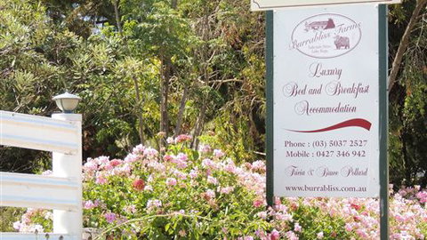 Burrabliss Bed And Breakfast - Tourism Gold Coast 6
