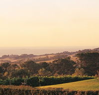 The Studio Bed and Breakfast - Tourism Gold Coast