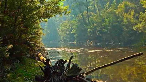 Waterholes Guest House - Tourism Gold Coast 5