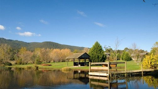 Badger Creek VIC Tourism Gold Coast