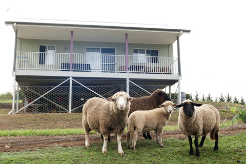Highfields Country Cottages - Tourism Gold Coast 15